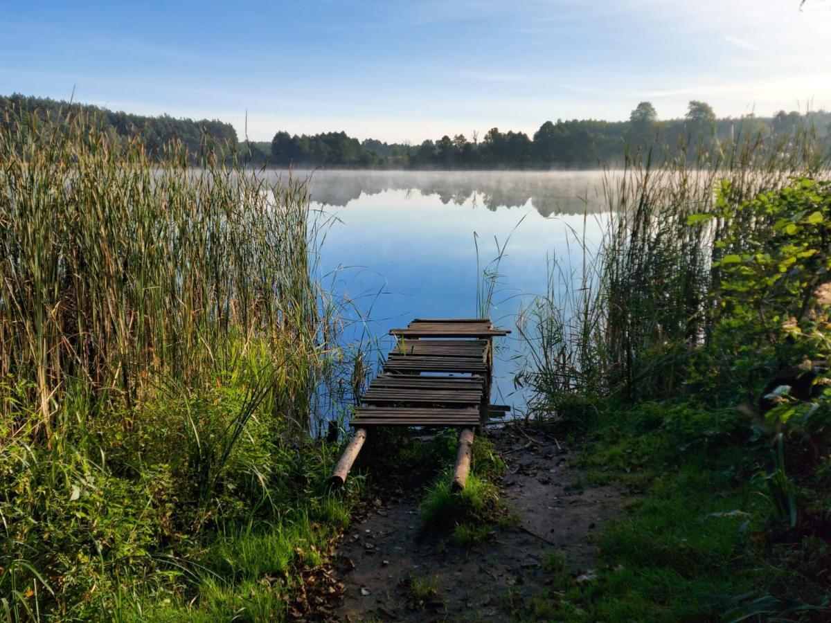 Villa Dom Przy Lesie Wielgie Esterno foto