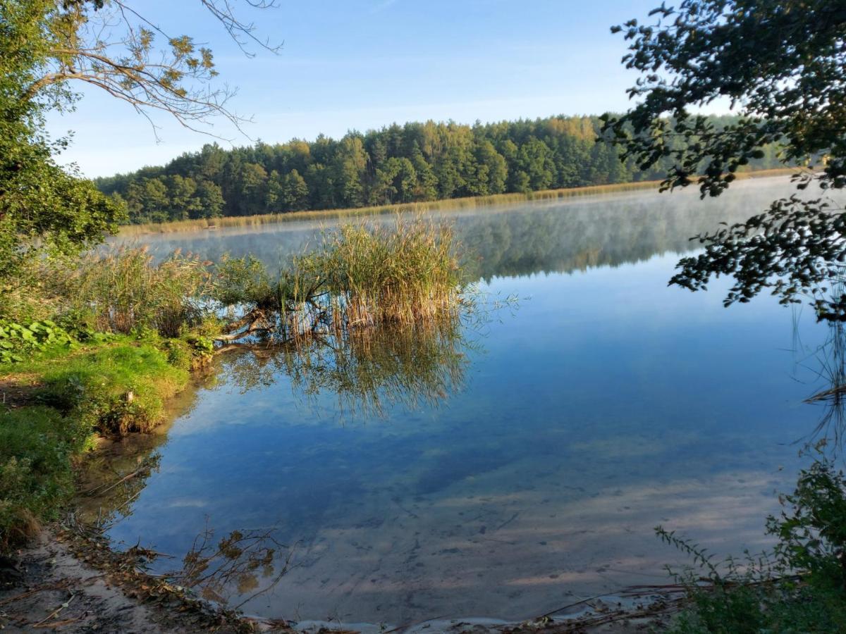 Villa Dom Przy Lesie Wielgie Esterno foto